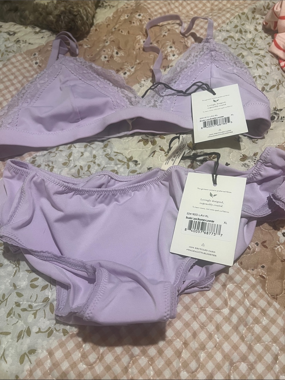 NWT Spell Boudoir lace set